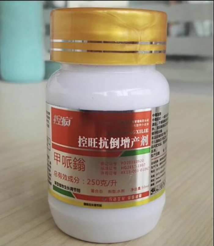 淺談控瘋在棉花上的表現(xiàn)及棉花化控技術要點(圖4)