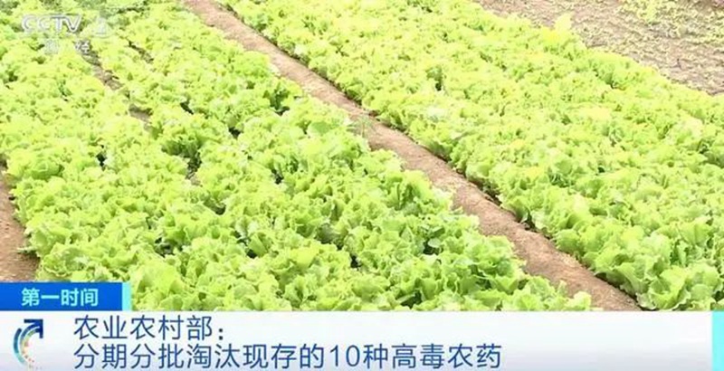 農業農村部:3年內淘汰這10種高毒農藥, 重點治理豇豆、韭菜、芹菜農殘超標(圖1) 農業農村部:3年內淘汰這10種高毒農藥, 重點治理豇豆、韭菜、芹菜農殘超標(圖1)
