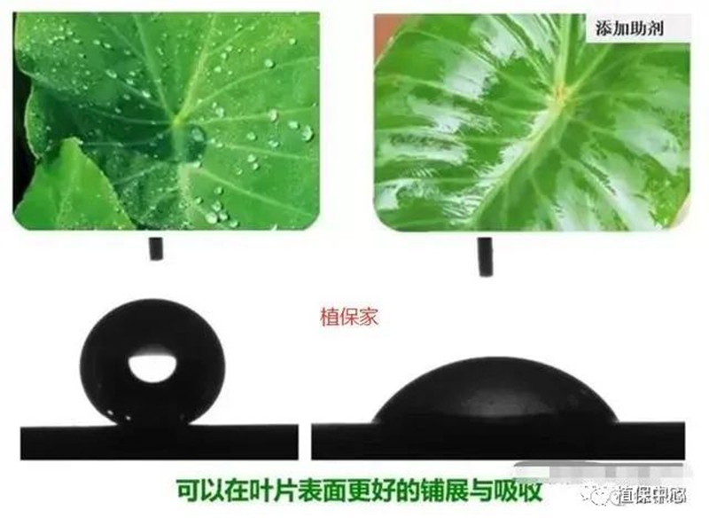 農(nóng)藥成分和含量一模一樣，為啥效果差別那么大？(圖2)